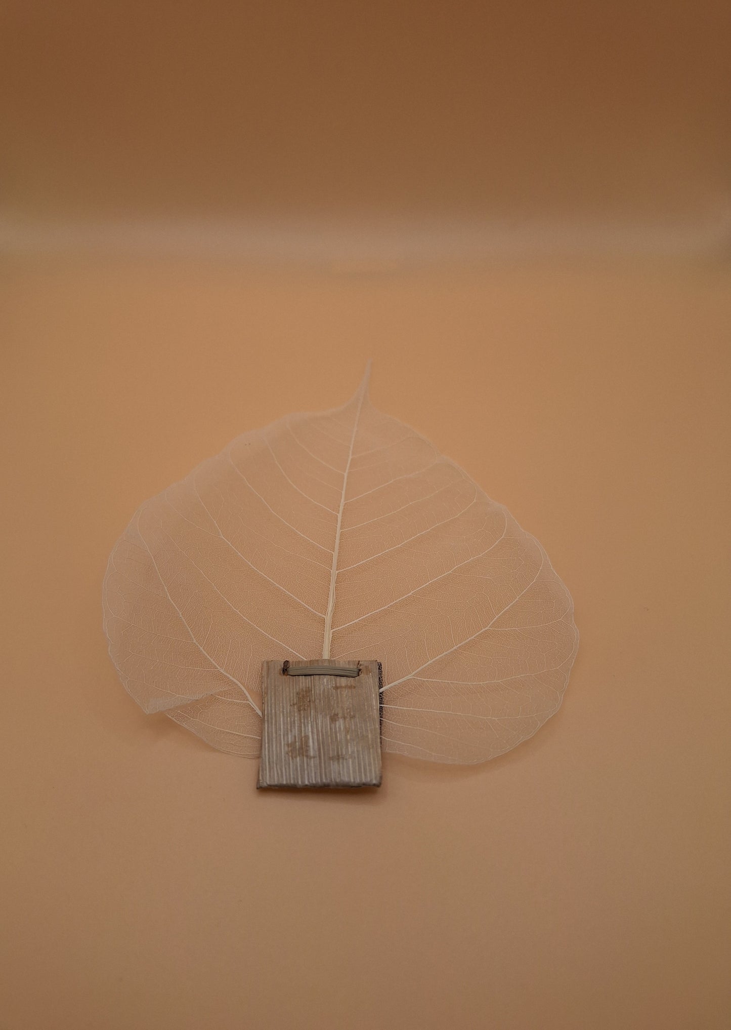 đ Filtre Ă ThĂ© Bodhi â Feuille dâArbre en Paille de BlĂ© Naturelle