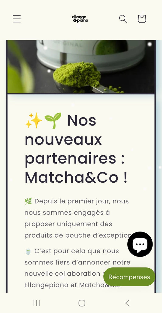 Nos partenaires et vision💛💙🌱