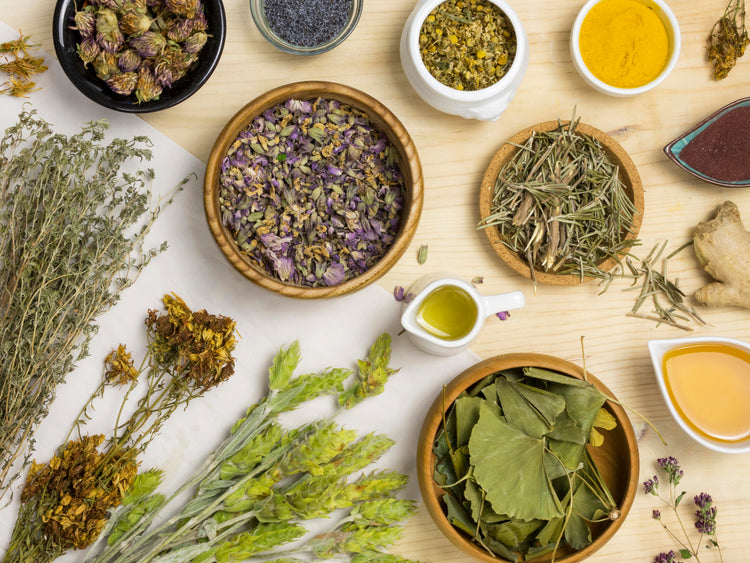 🌿 Rituels de soin — Nature - Traditions  & Modernité