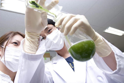 🍵✨ Thé Matcha Premium Bio du Japon | Kumiko Matcha 30g