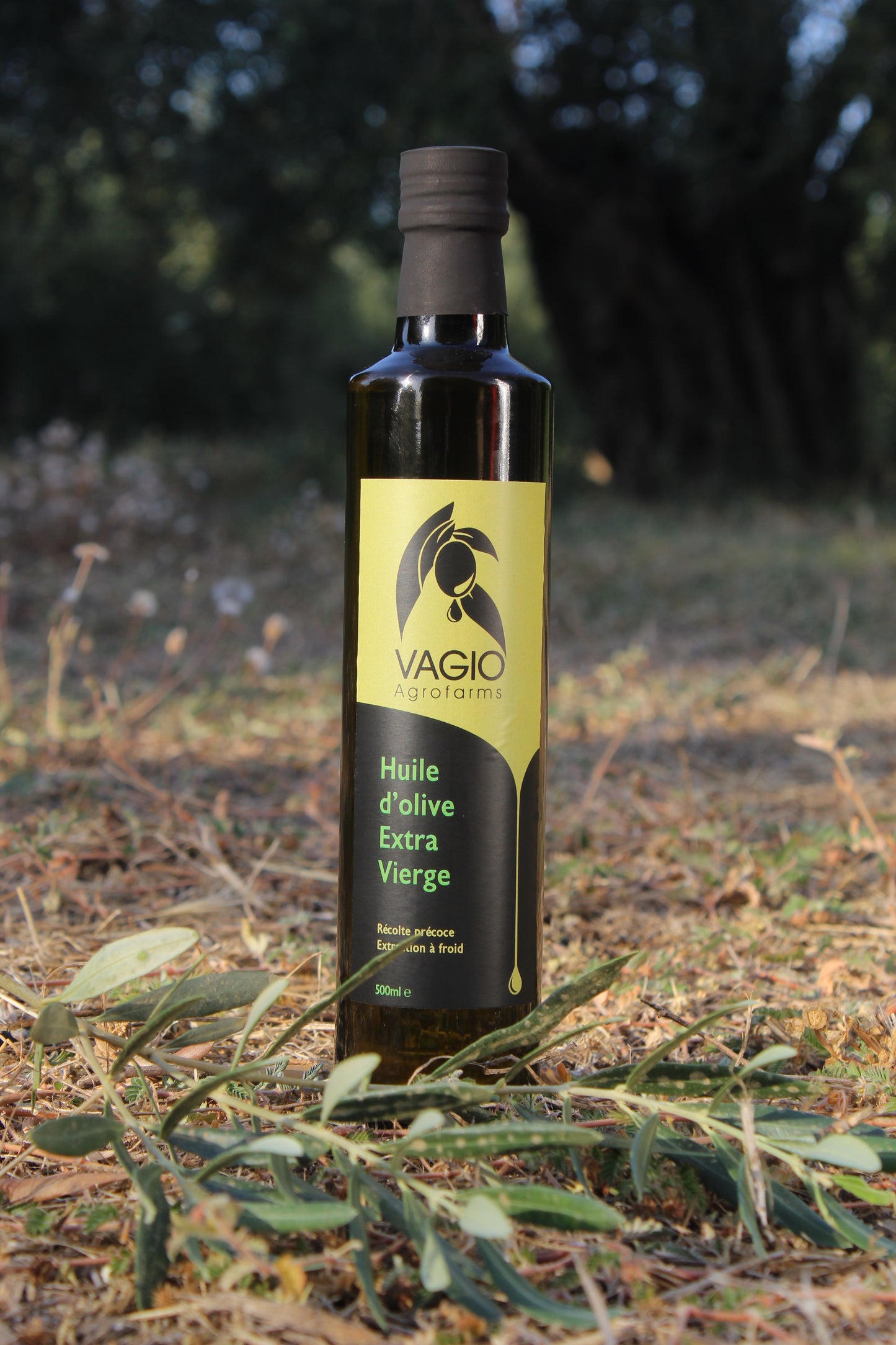 🫒 Extra Virgin Olive Oil – Halkidiki Variety – 100 ml • 250 ml • 500 ml
