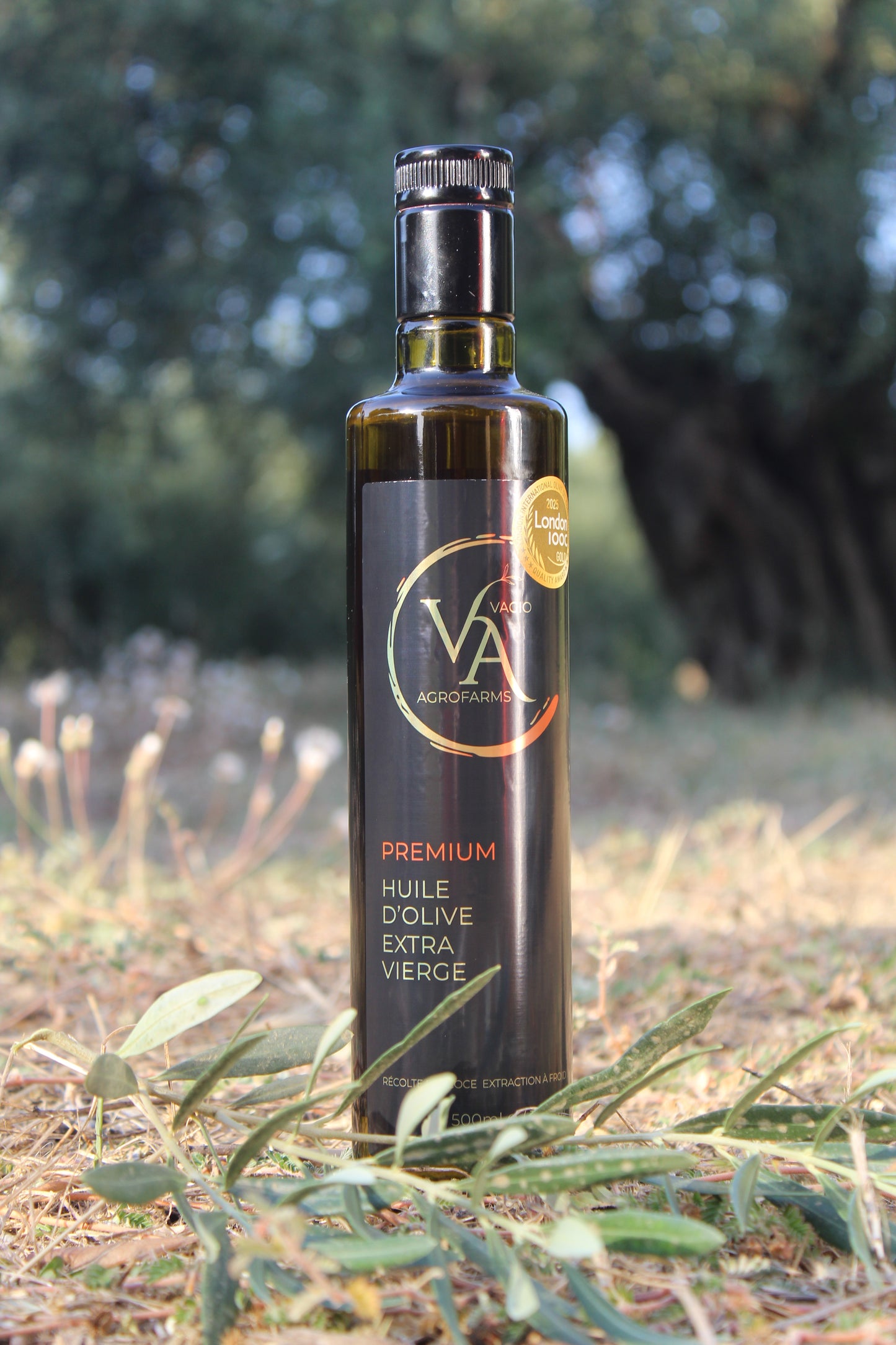 🏅 Premium Extra Virgin Olive Oil – Halkidiki Variety • 50 ml • 500 ml -