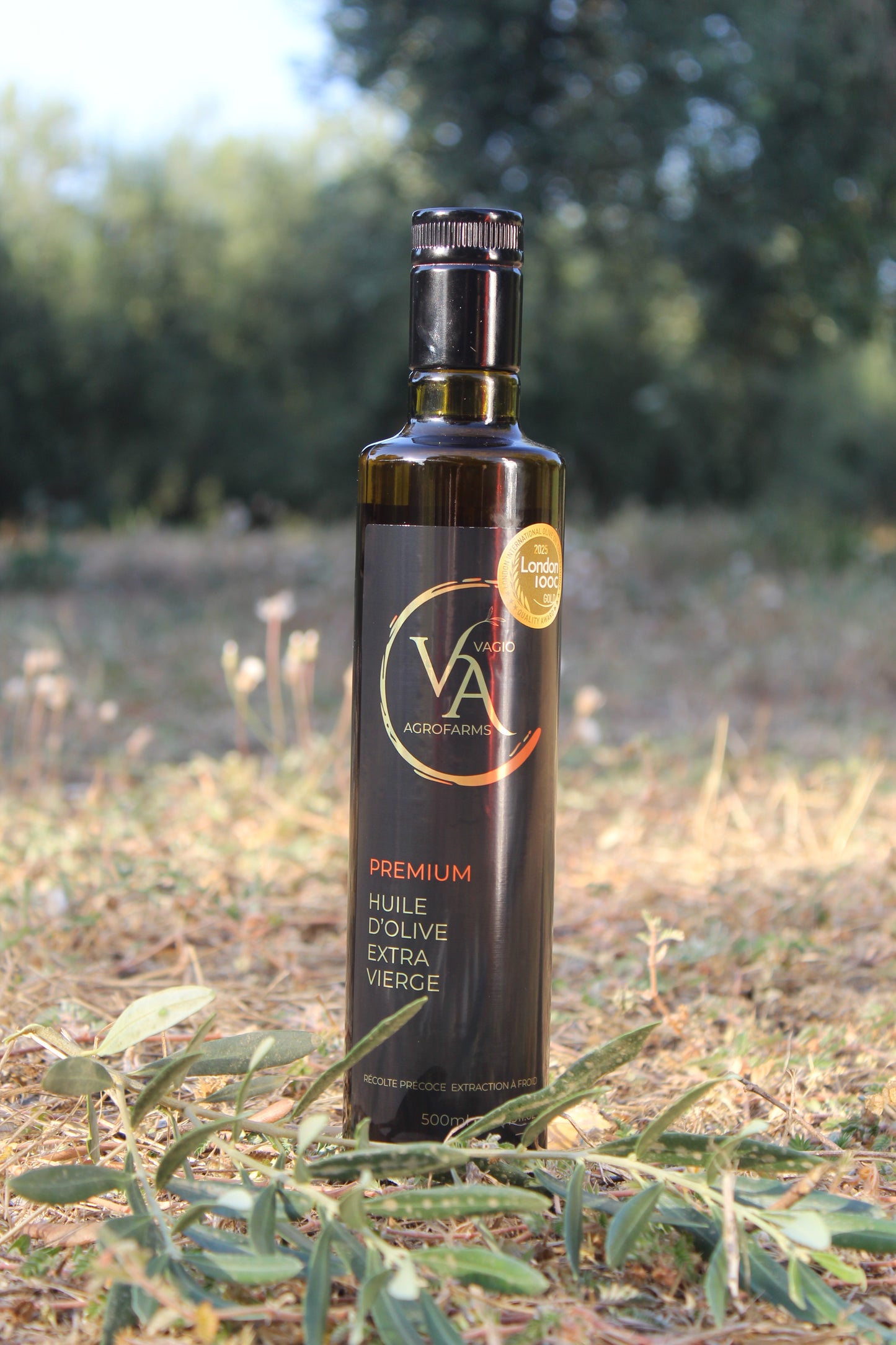 🏅 Premium Extra Virgin Olive Oil – Halkidiki Variety • 50 ml • 500 ml -