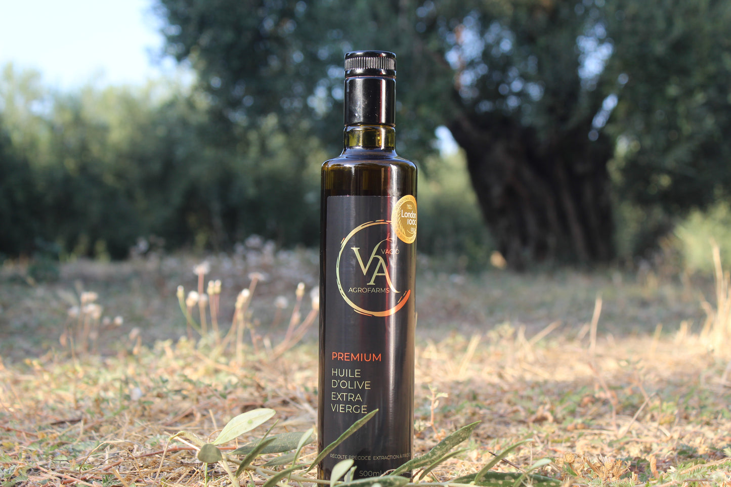 🏅 Premium Extra Virgin Olive Oil – Halkidiki Variety • 50 ml • 500 ml -