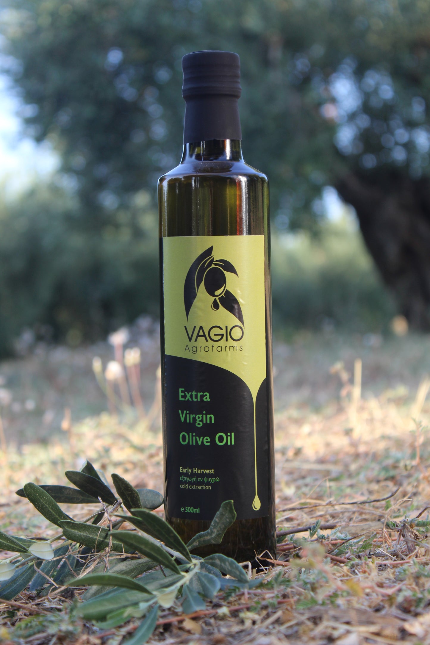 🫒 Extra Virgin Olive Oil – Halkidiki Variety – 100 ml • 250 ml • 500 ml