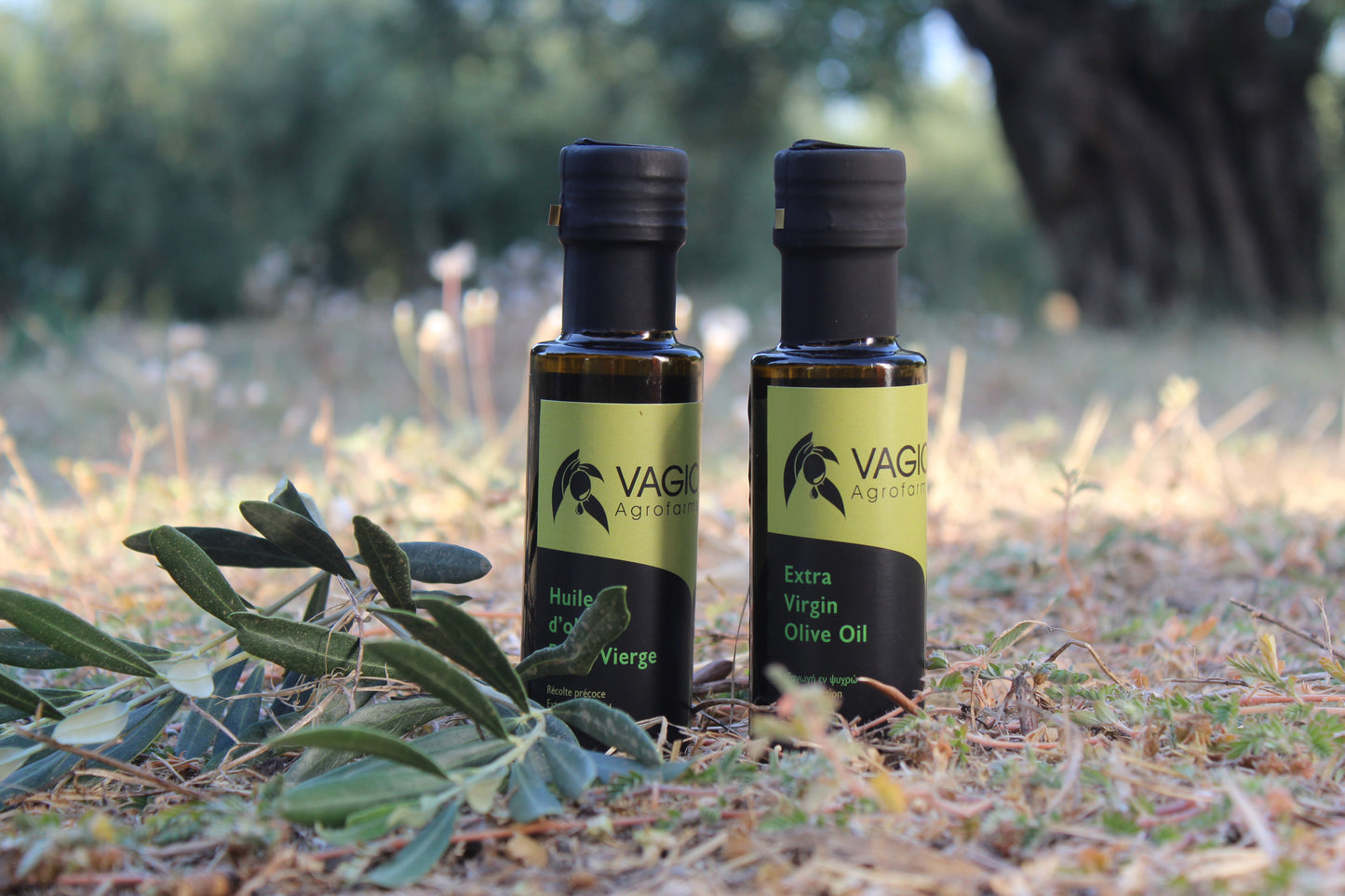 🫒 Extra Virgin Olive Oil – Halkidiki Variety – 100 ml • 250 ml • 500 ml