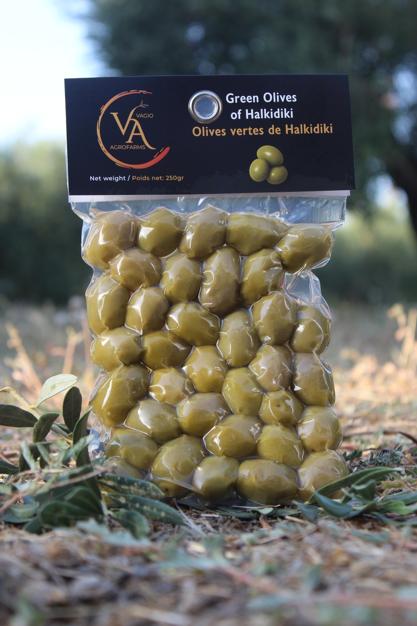 Vagio Agrofarms 🫒 Olives Vertes de Halkidiki  – 250 g – Origan • Thym • Nature • Piment