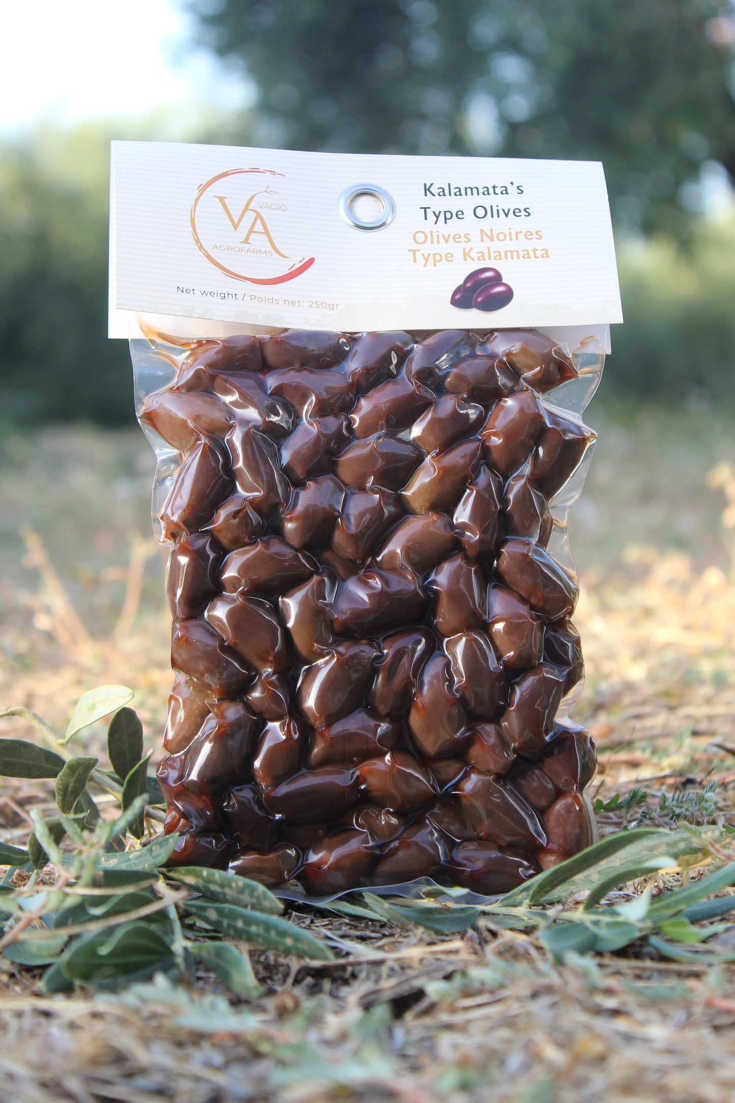 Vagio Agrofarms 🫒 Olives Noires-  Kalamata (Kalamon) et Halkidiki  3 Façons de Goûter l’Intensité Grecque