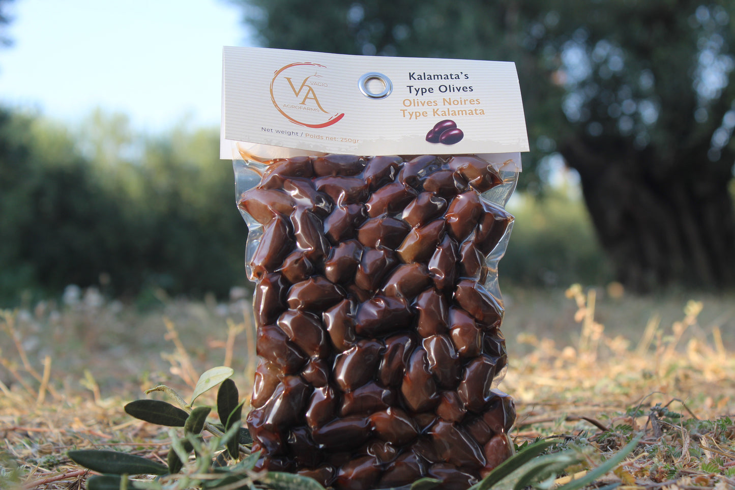 Vagio Agrofarms 🫒 Olives Noires-  Kalamata (Kalamon) et Halkidiki  3 Façons de Goûter l’Intensité Grecque
