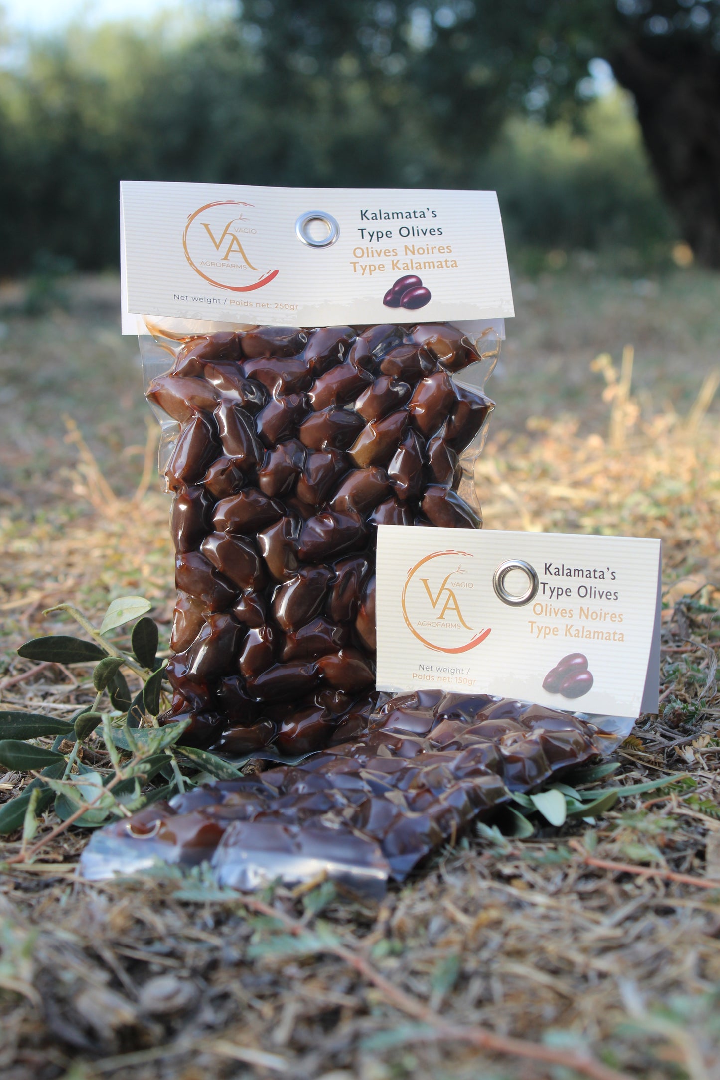 Vagio Agrofarms 🫒 Olives Noires-  Kalamata (Kalamon) et Halkidiki  3 Façons de Goûter l’Intensité Grecque