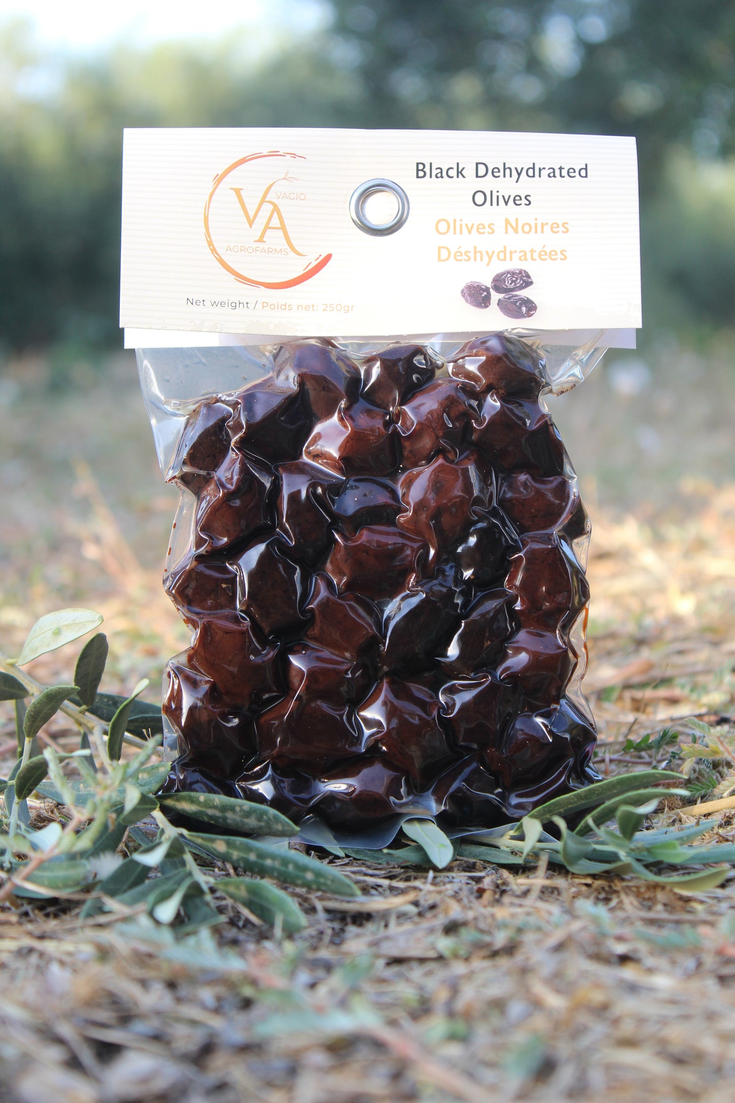 Vagio Agrofarms 🫒 Olives Noires-  Kalamata (Kalamon) et Halkidiki  3 Façons de Goûter l’Intensité Grecque