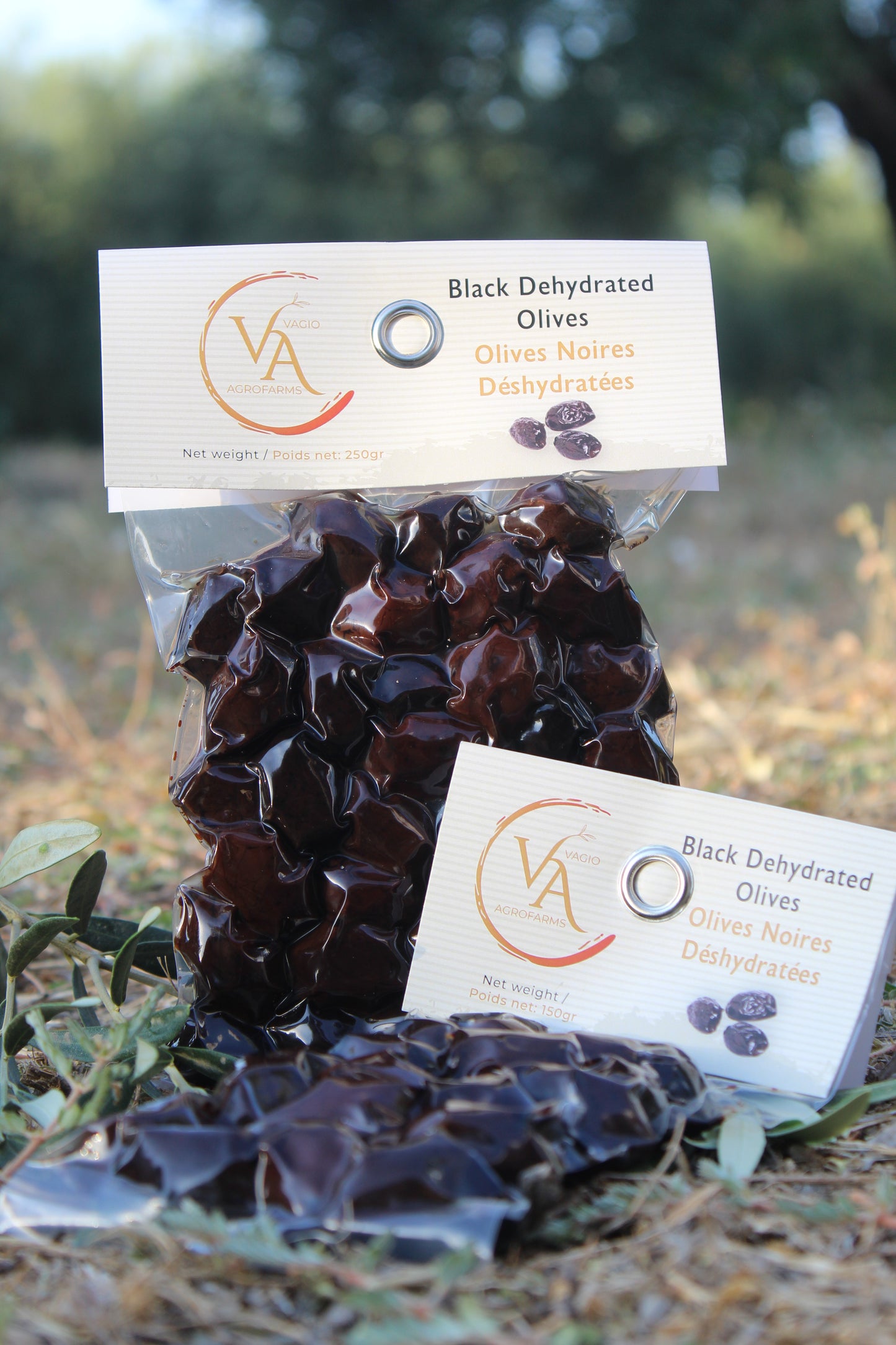 Vagio Agrofarms 🫒 Olives Noires-  Kalamata (Kalamon) et Halkidiki  3 Façons de Goûter l’Intensité Grecque