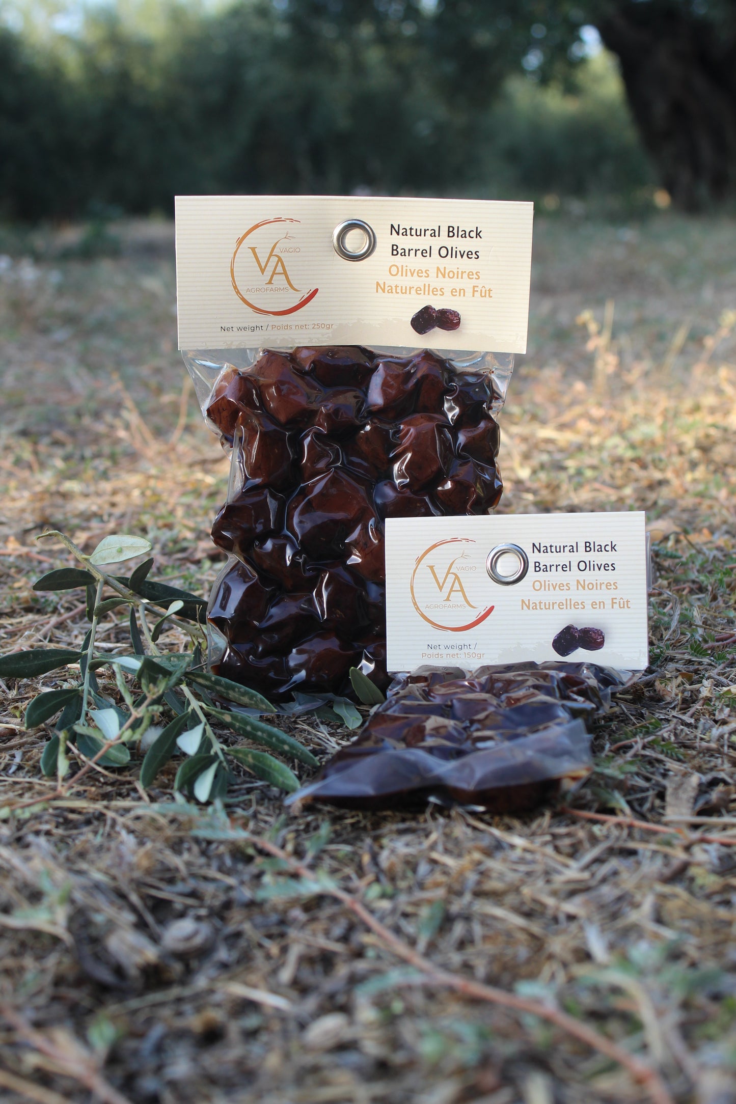 Vagio Agrofarms 🫒 Olives Noires-  Kalamata (Kalamon) et Halkidiki  3 Façons de Goûter l’Intensité Grecque