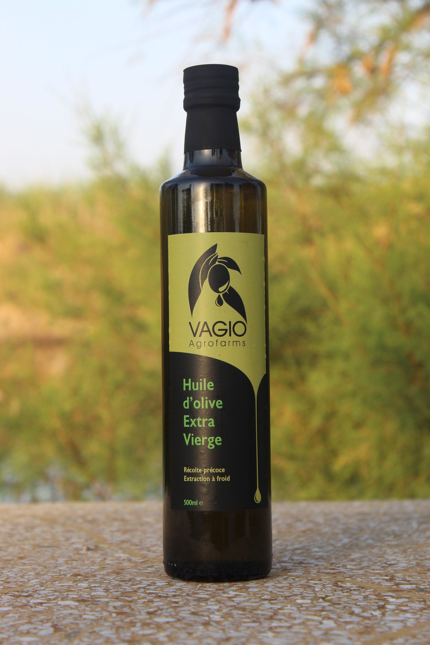 🫒 Extra Virgin Olive Oil – Halkidiki Variety – 100 ml • 250 ml • 500 ml