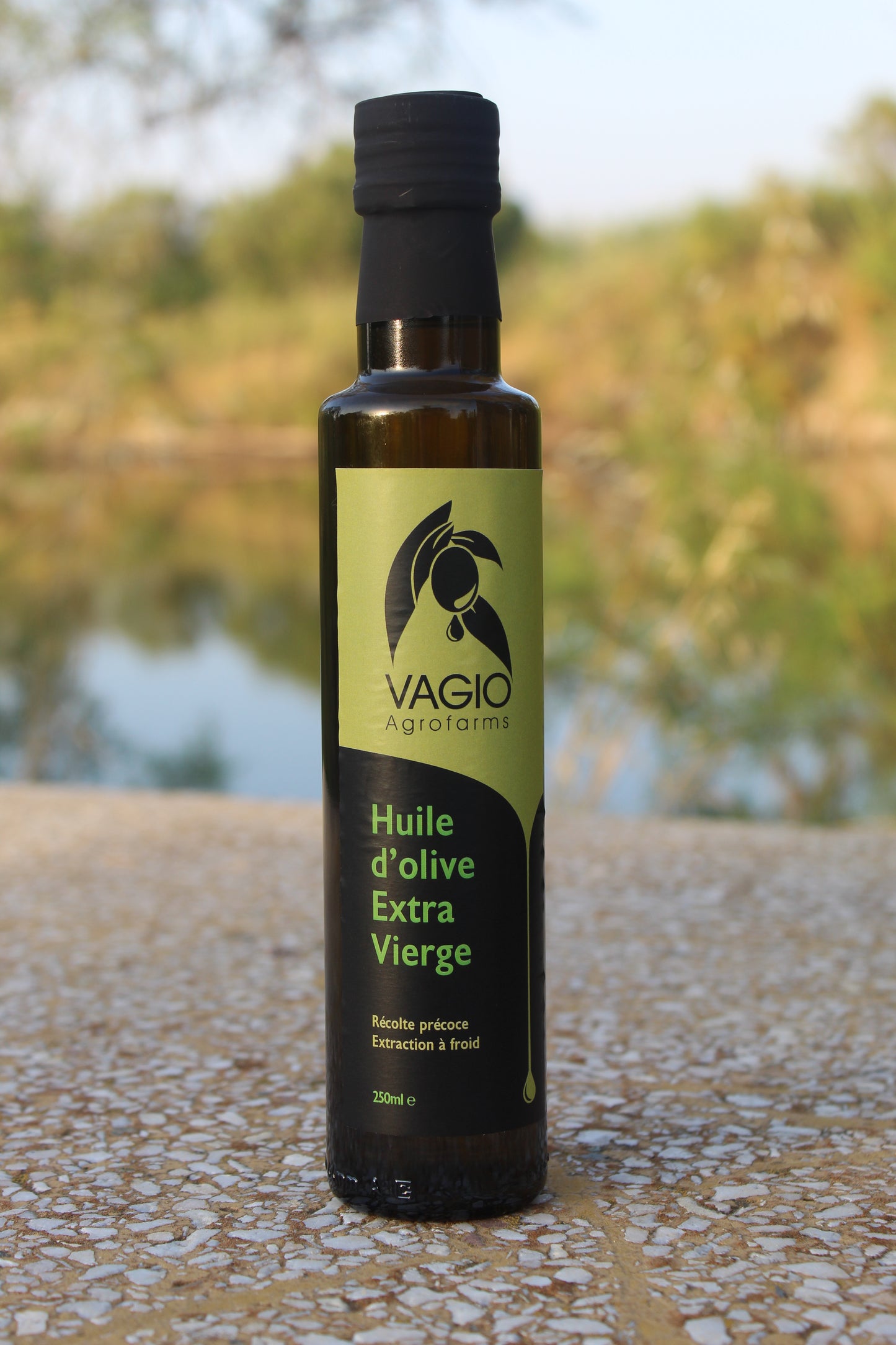 🫒 Extra Virgin Olive Oil – Halkidiki Variety – 100 ml • 250 ml • 500 ml