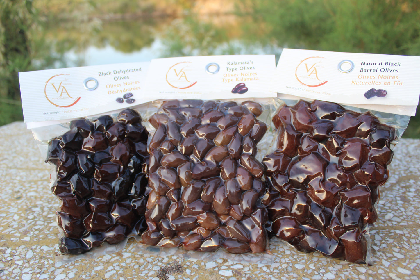 Vagio Agrofarms 🫒 Olives Noires-  Kalamata (Kalamon) et Halkidiki  3 Façons de Goûter l’Intensité Grecque
