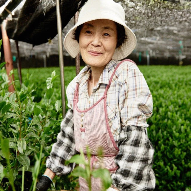 🍃✨ Bol à matcha chawan traditionnel en Porcelaine  – Série “Écume” - Kumiko Matcha - Édition limitée