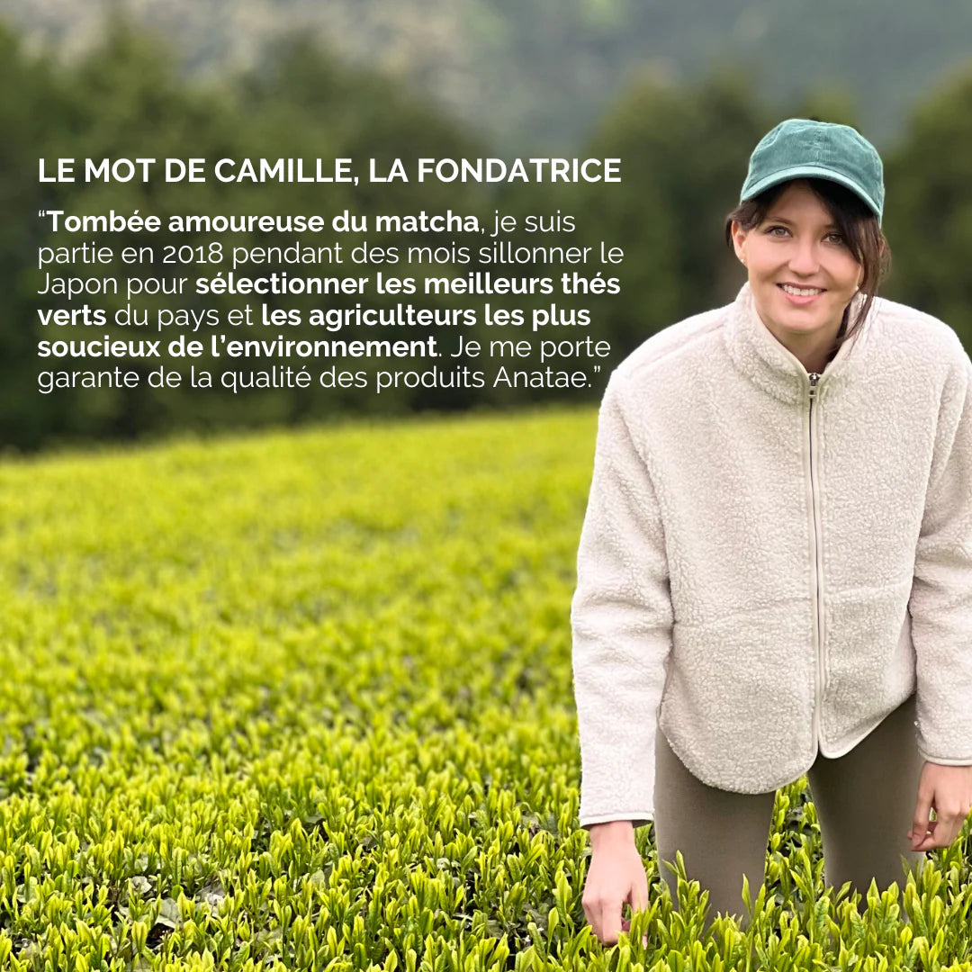 🌱 Hojicha Bio Anatae – Thé Japonais Torréfié