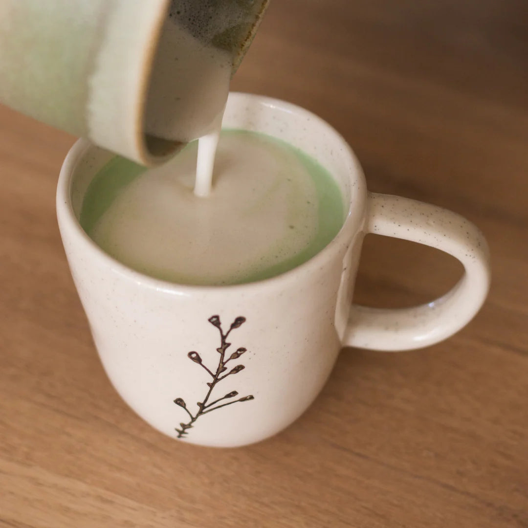 🌱✨ Thé Matcha Classique Bio – Anatae | Origine Fujieda (Shizuoka, Japon) ✨🌱